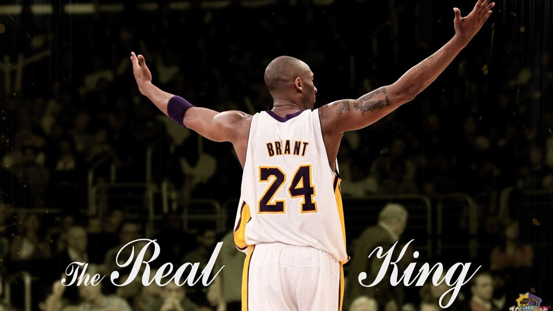 塔图姆新星战术调整表现惊艳，篮网未来可期！